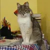 Отзыв от Пелагея Никонова